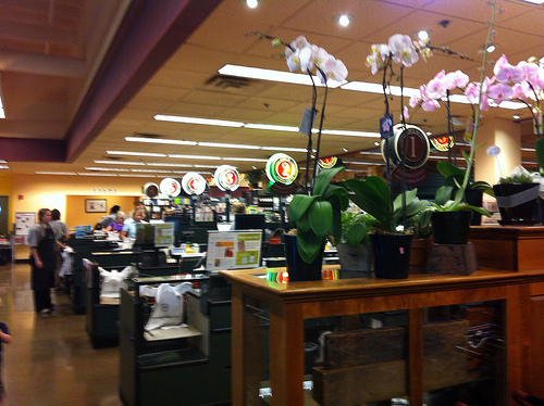 CLOSEST METRO MARKET visual data 5